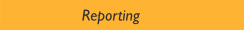       Reporting